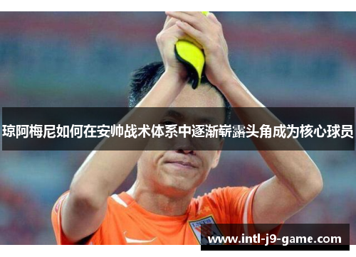 琼阿梅尼如何在安帅战术体系中逐渐崭露头角成为核心球员